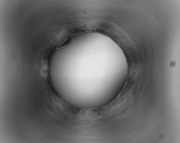 X0000102870866200808181503