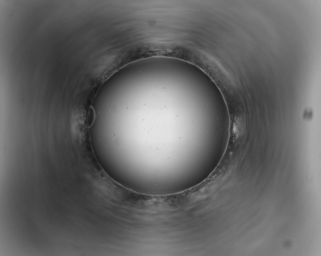 X0000102870867200808181503