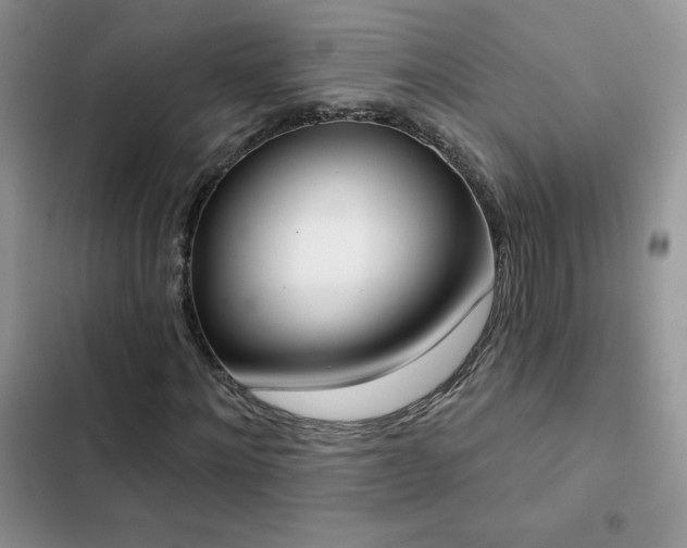 X0000102870868200808181503