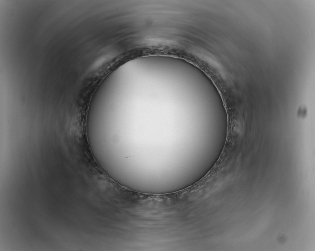 X0000102870869200808181503