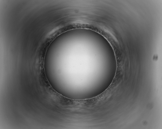 X0000102870870200808181503