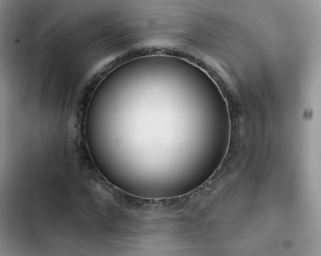 X0000102870872200808181503