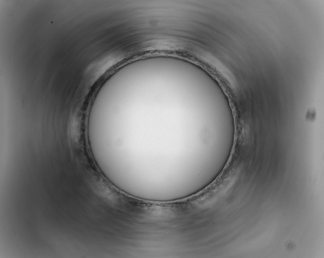 X0000102870874200808181503