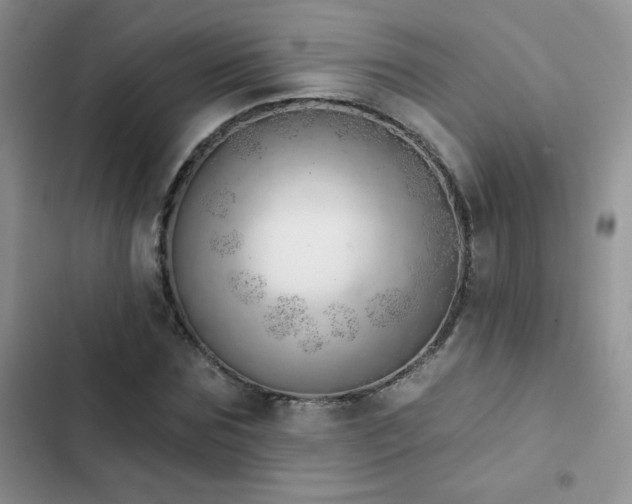 X0000102870875200808181503
