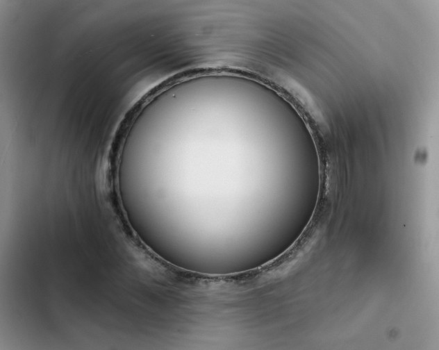 X0000102870876200808181503