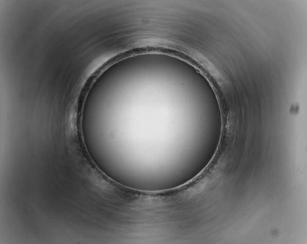 X0000102870877200808181503