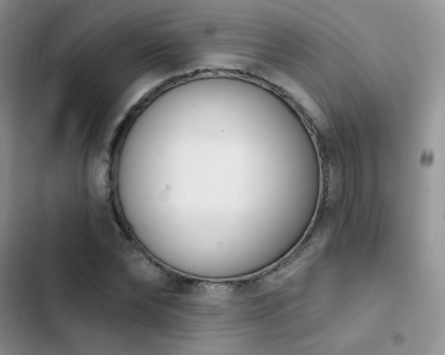 X0000102870878200808181503