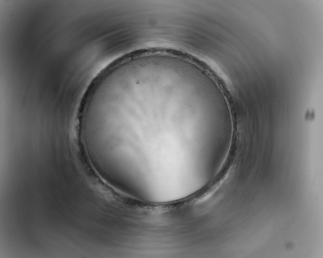 X0000102870879200808181503