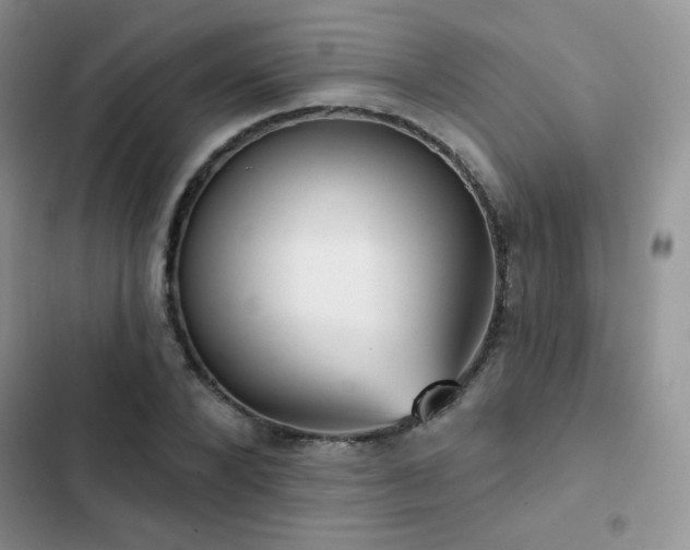 X0000102870880200808181503
