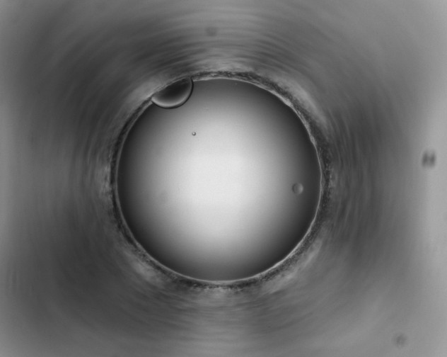 X0000102870881200808181503