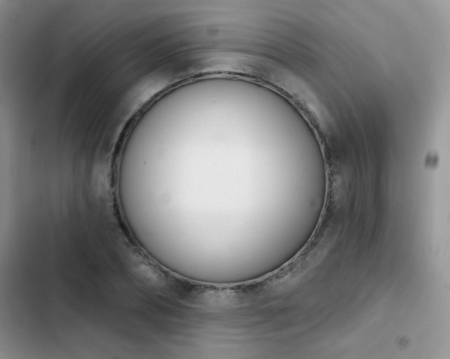 X0000102870882200808181503