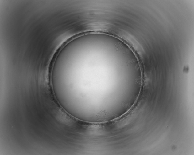X0000102870883200808181503