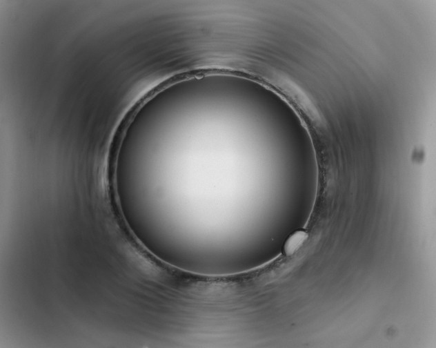 X0000102870884200808181503