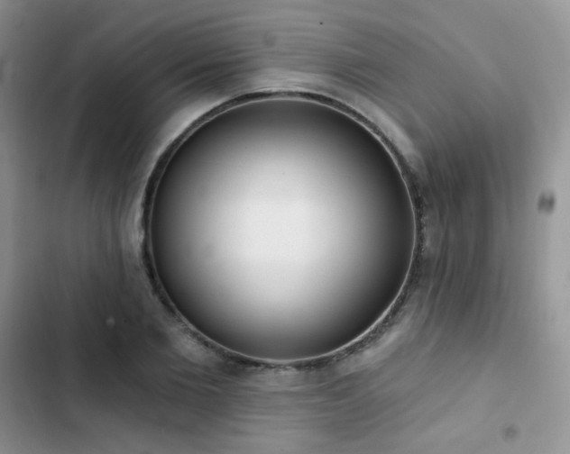 X0000102870885200808181503