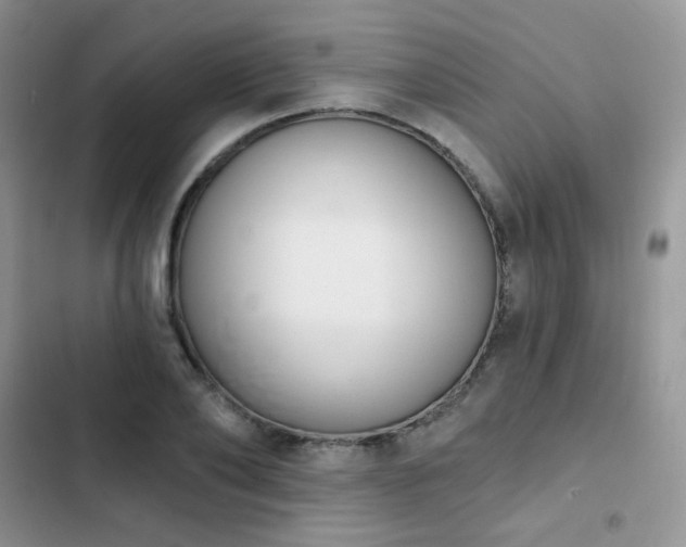 X0000102870886200808181503