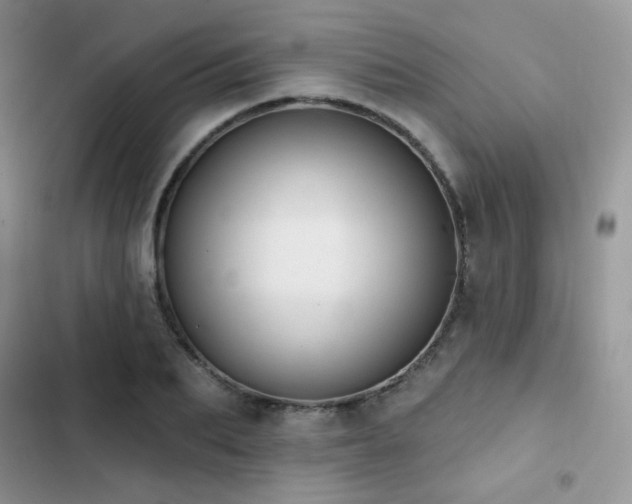 X0000102870887200808181503