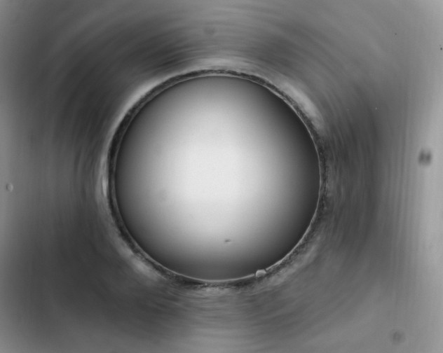 X0000102870888200808181503