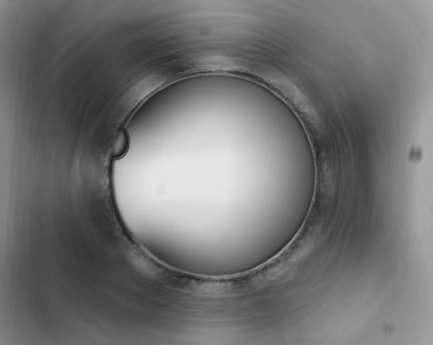 X0000102870889200808181503