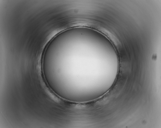 X0000102870890200808181503