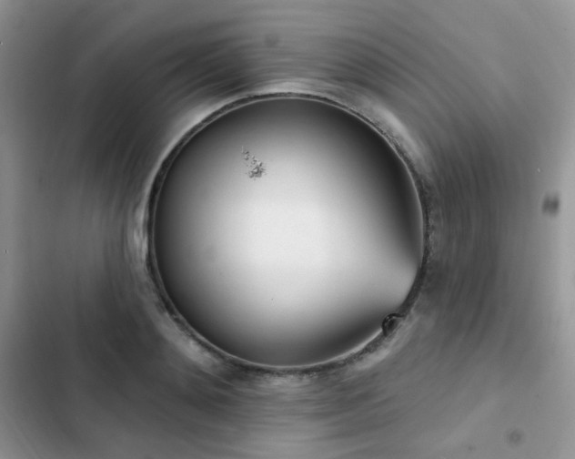 X0000102870892200808181503