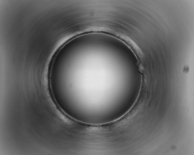 X0000102870894200808181503