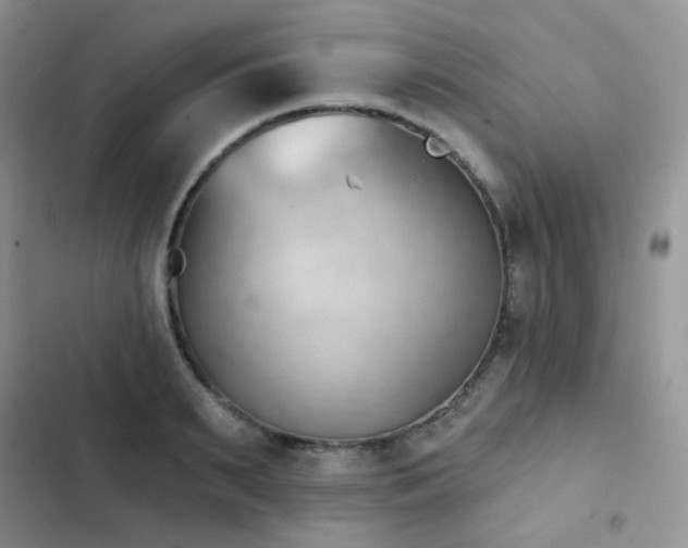 X0000102870895200808181503