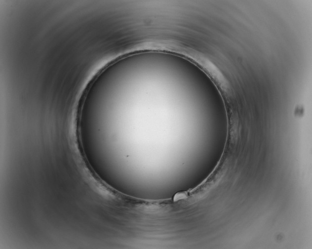 X0000102870896200808181503