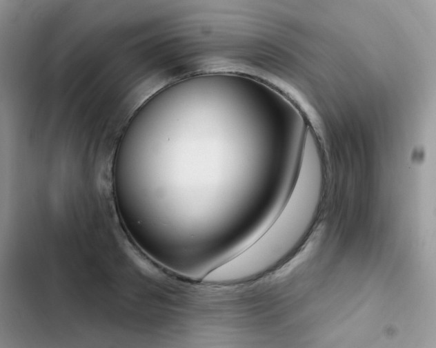X0000102870897200808181503