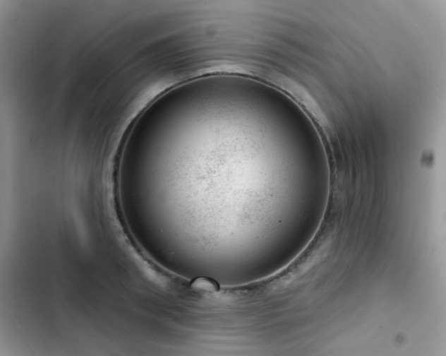 X0000102870898200808181503