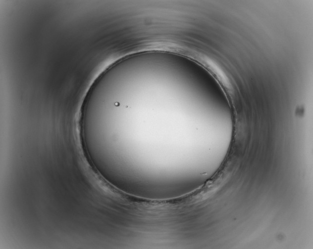 X0000102870899200808181503