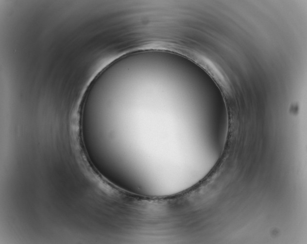 X0000102870900200808181503