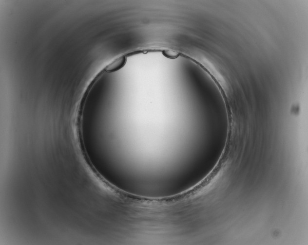 X0000102870901200808181503