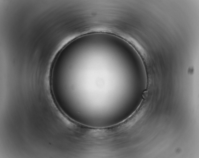 X0000102870902200808181503