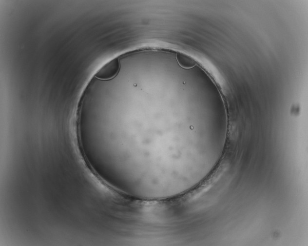 X0000102870903200808181503