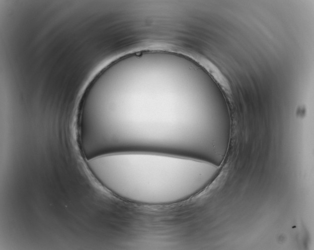 X0000102870904200808181503
