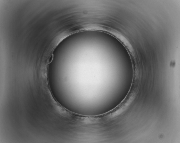 X0000102870905200808181503
