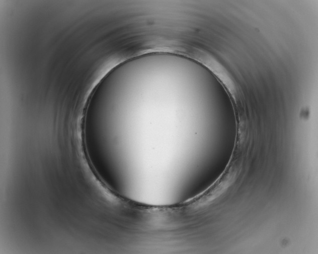 X0000102870906200808181503