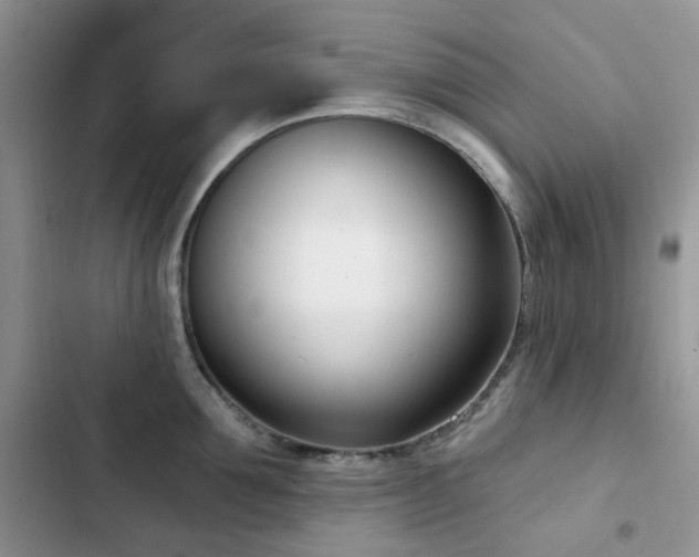 X0000102870907200808181503