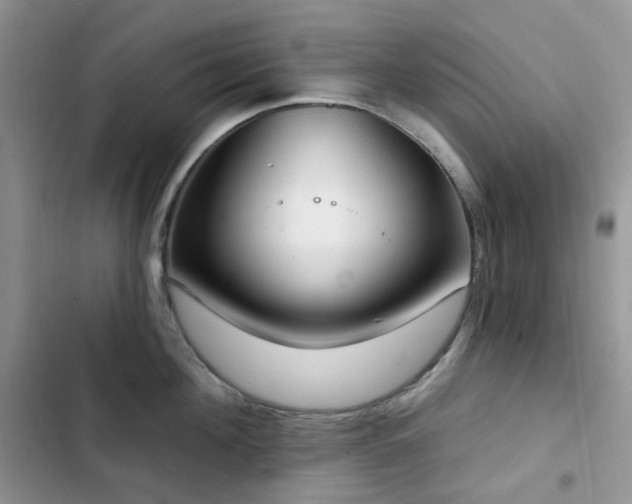 X0000102870908200808181503