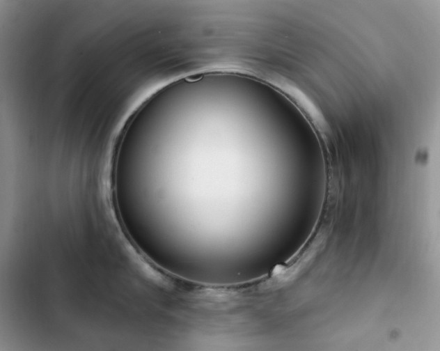 X0000102870910200808181503