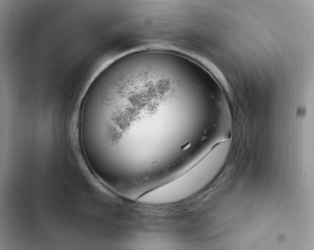 X0000102870911200808181503
