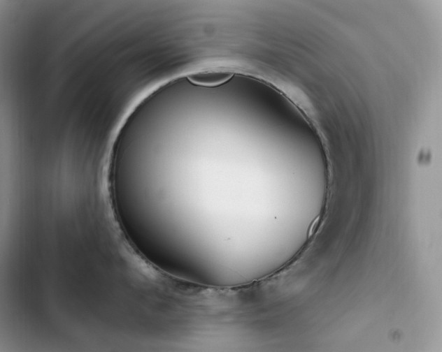 X0000102870912200808181503