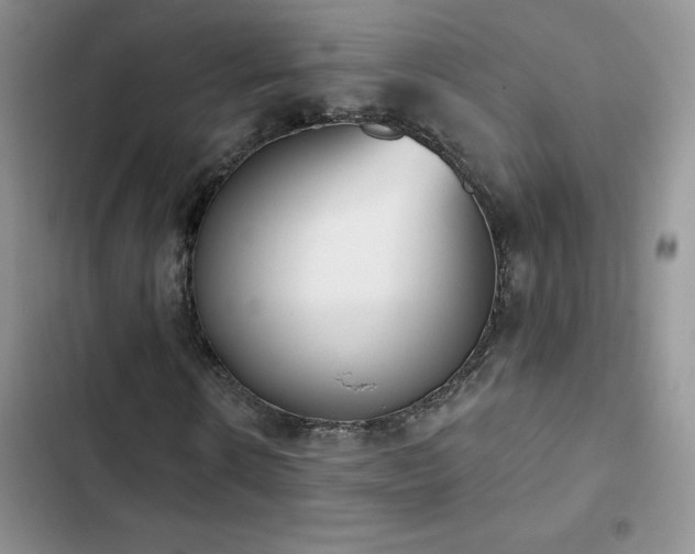 X0000102870914200808181502