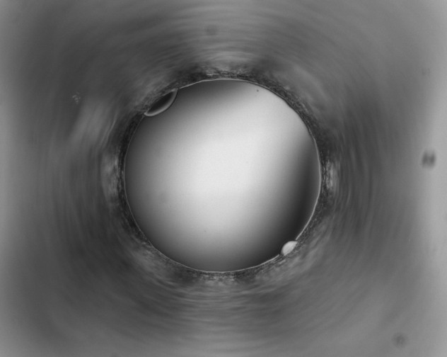 X0000102870915200808181502