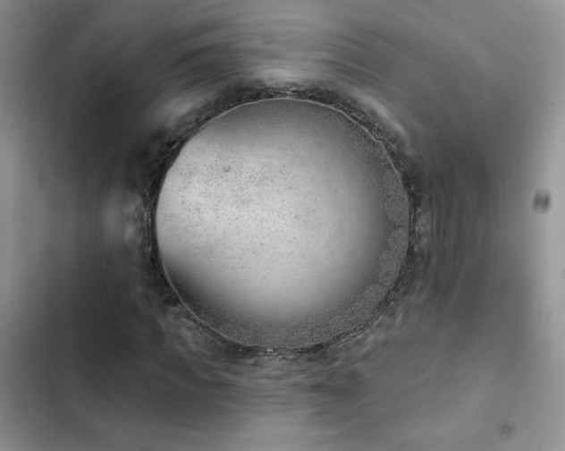 X0000102870917200808181502