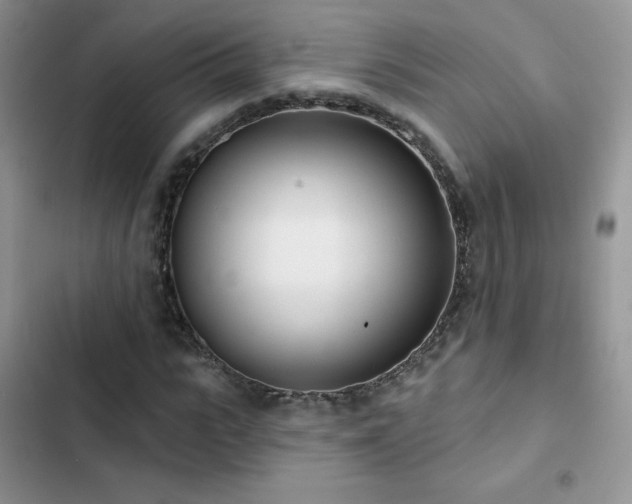 X0000102870919200808181502