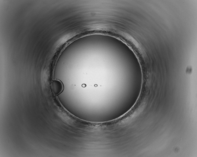 X0000102870922200808181502