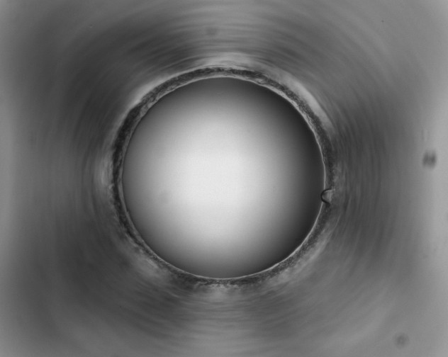 X0000102870923200808181502