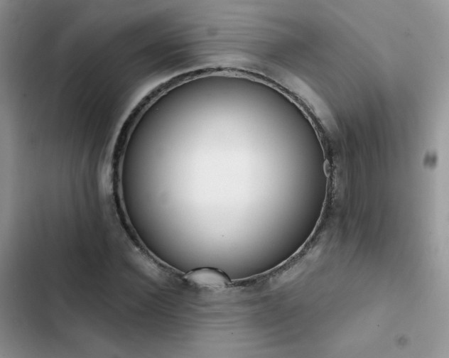 X0000102870924200808181502