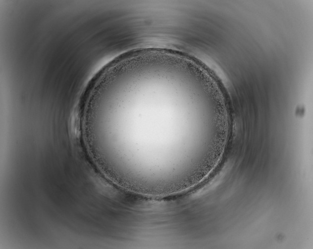 X0000102870925200808181502
